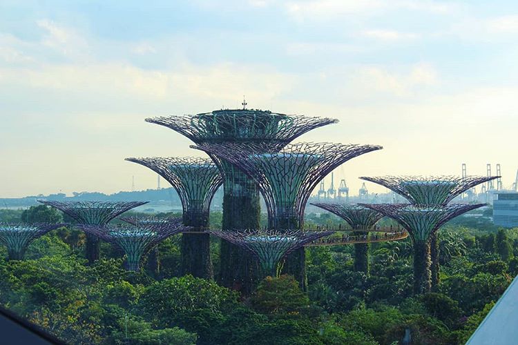 Gardens by the Bay